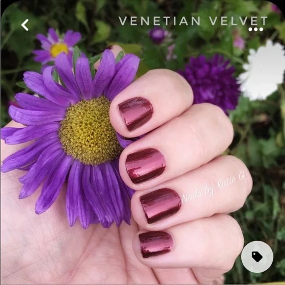 *Retired* Color Street: Venetian Velvet | Scarlet Red Fall Winter Classic Preppy - Picture 10 of 15